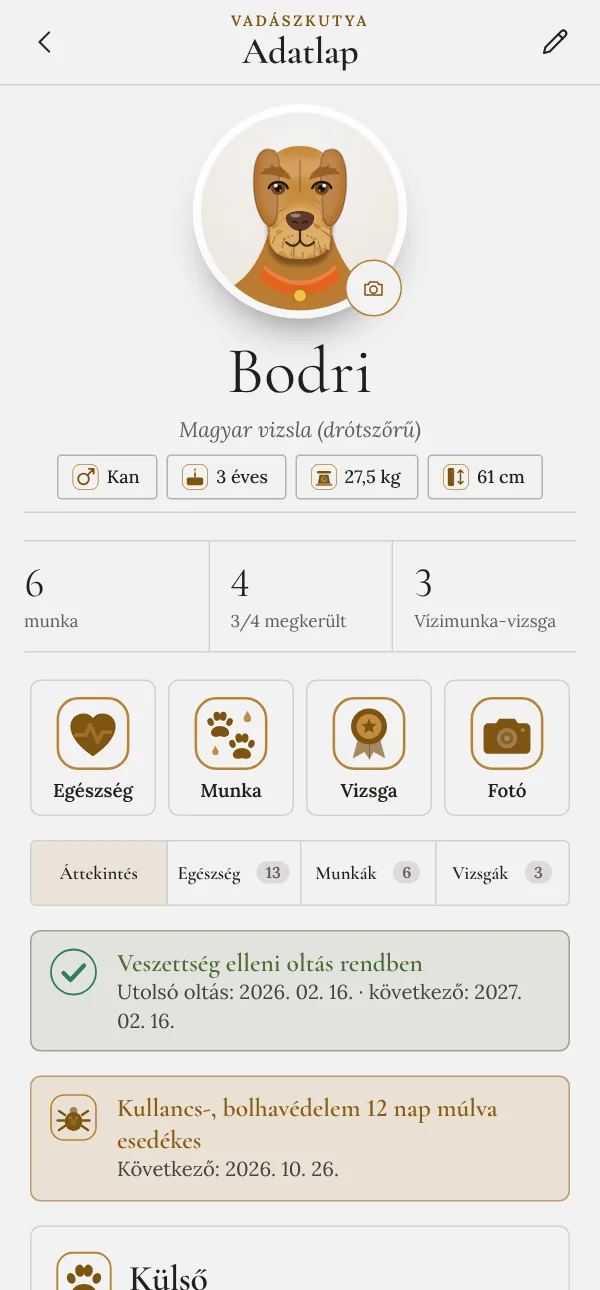 Vadászkutya adatlap a fajta rajzolt portréjával