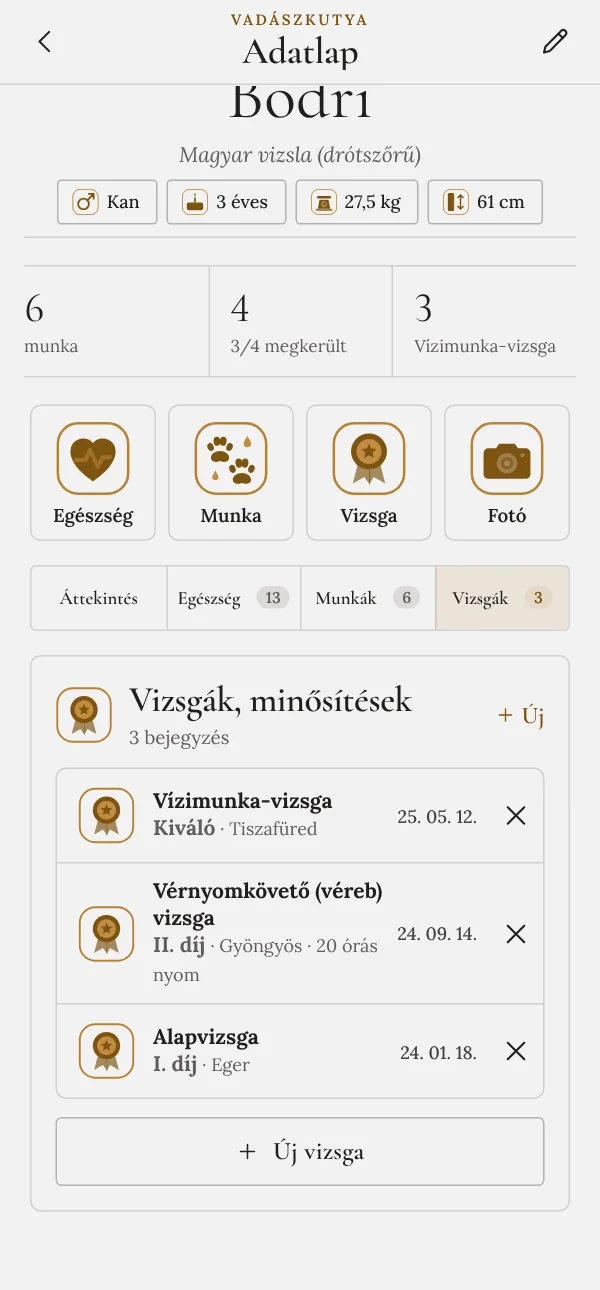 Vizsgák és minősítések arany, ezüst, bronz és zöld rozettával